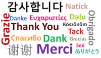 Top 12 languages for Translation